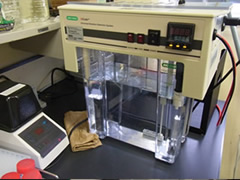 PCR-DGGE装置