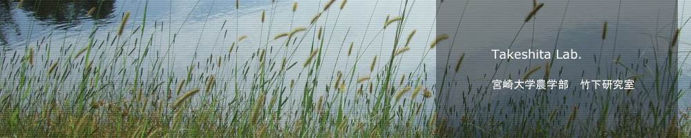 Takeshita Lab.