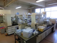 大実験室