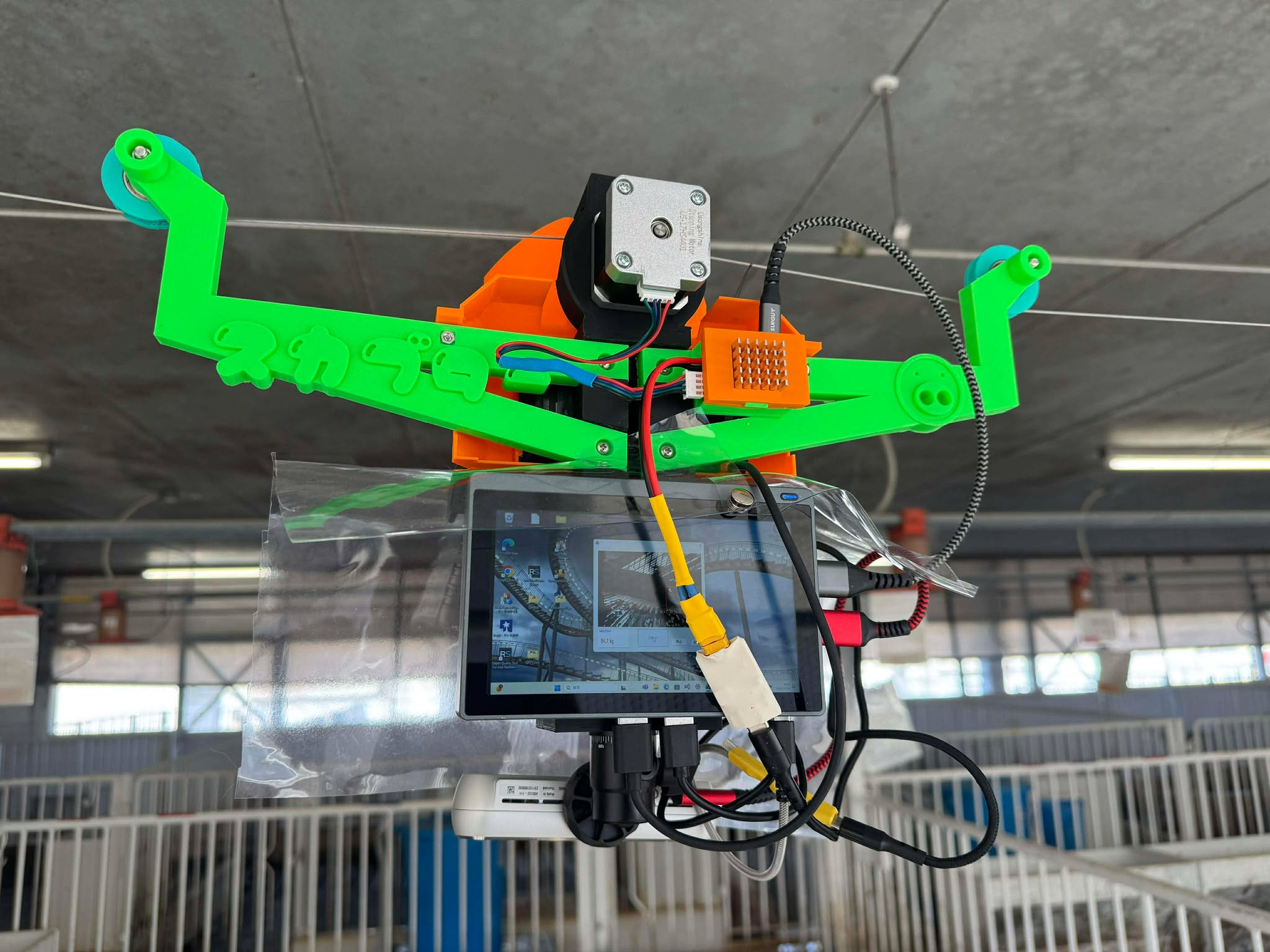 豚衡機による計測