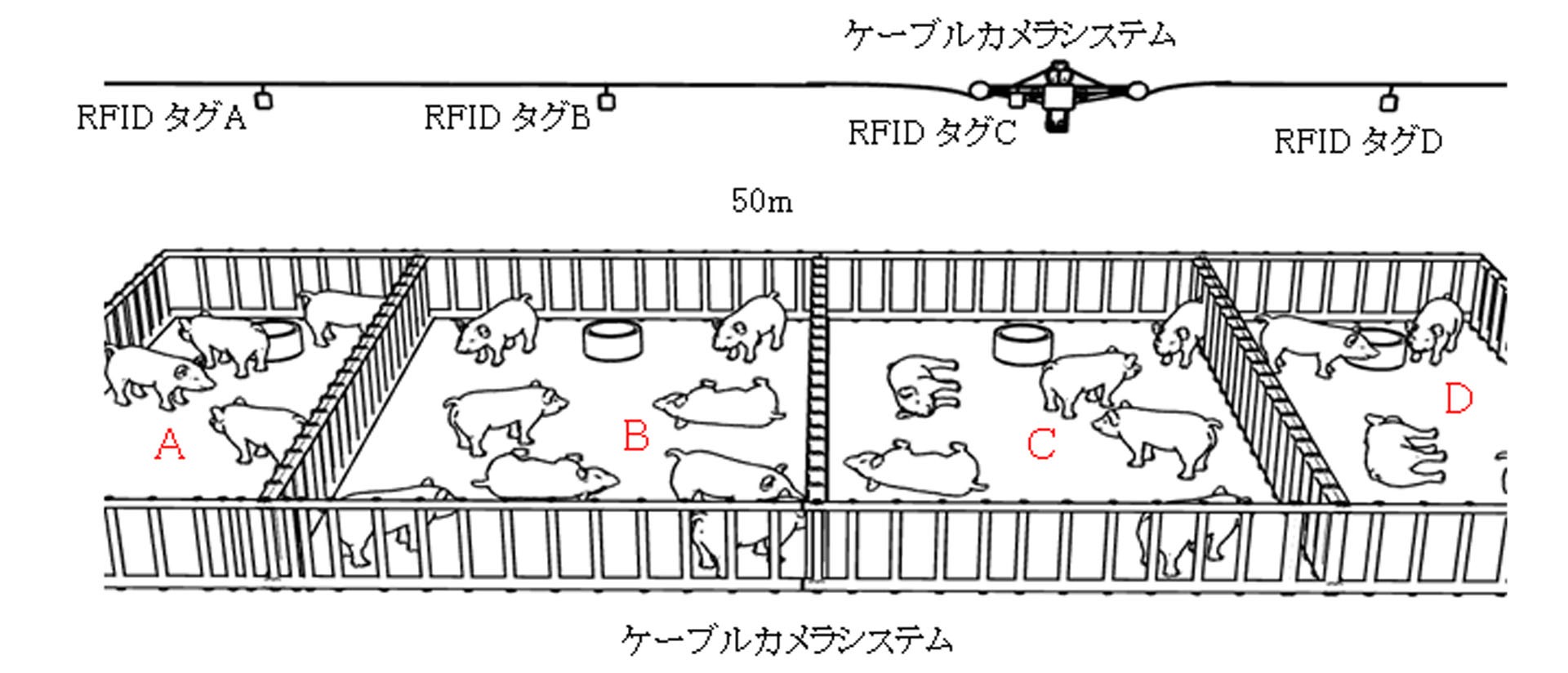 豚衡機による計測