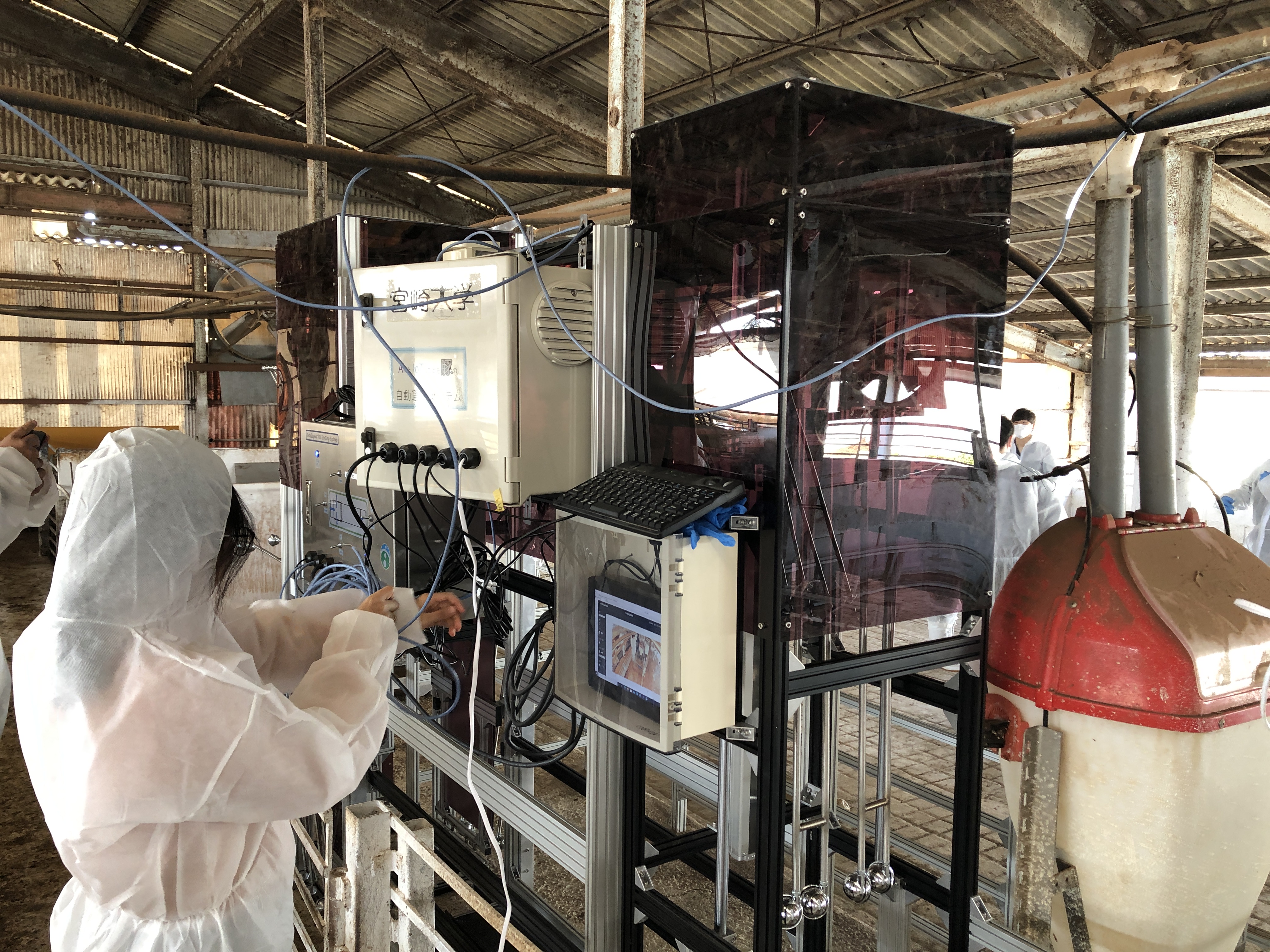 豚衡機による計測