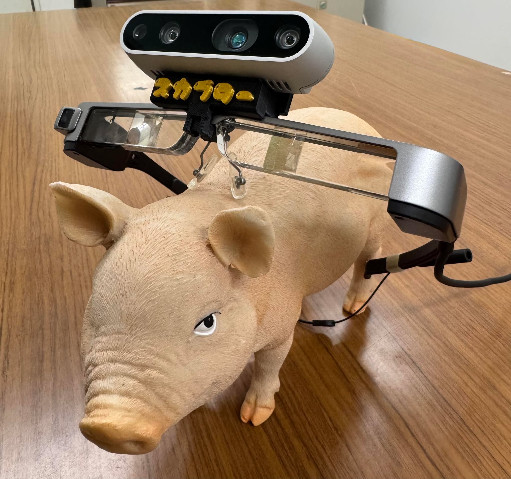 豚衡機による計測