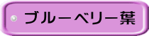 ブルーベリー葉 