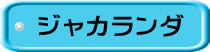 ジャカランダ 