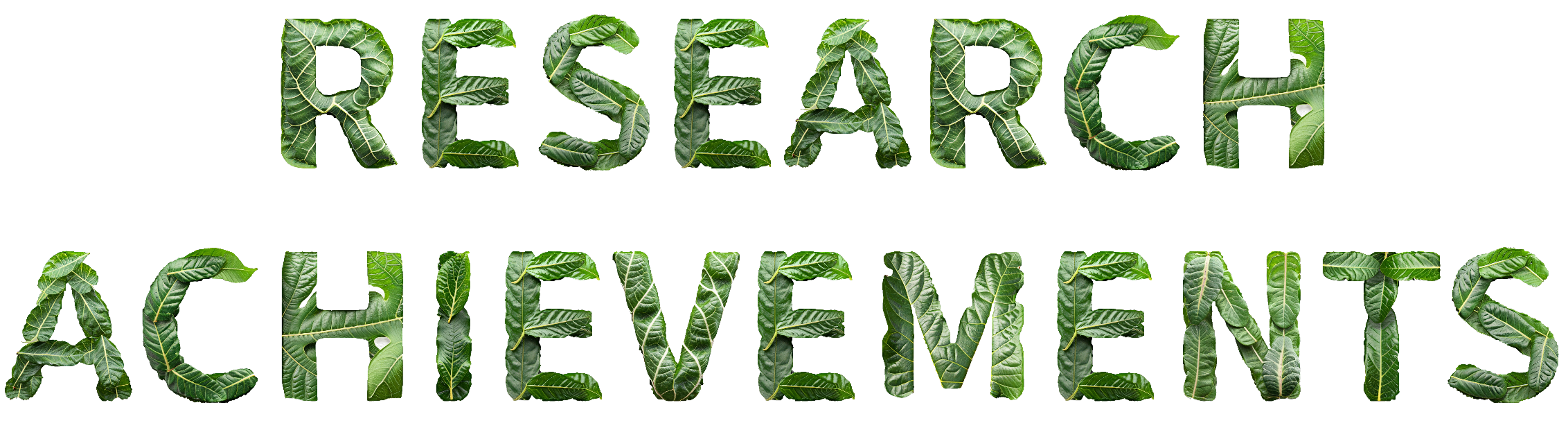 Research Achievements
