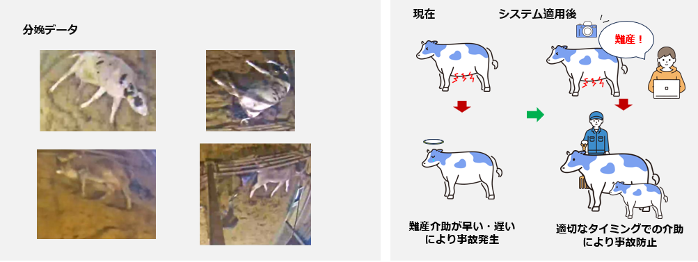 研究背景・目的