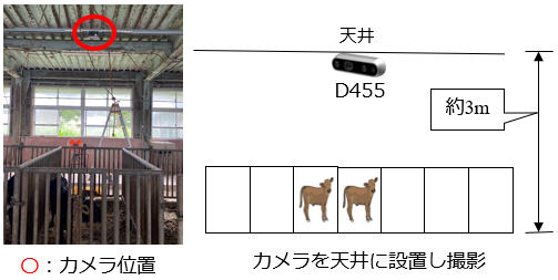 実験環境