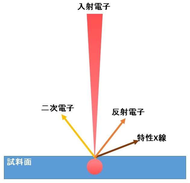 SEM簡略図