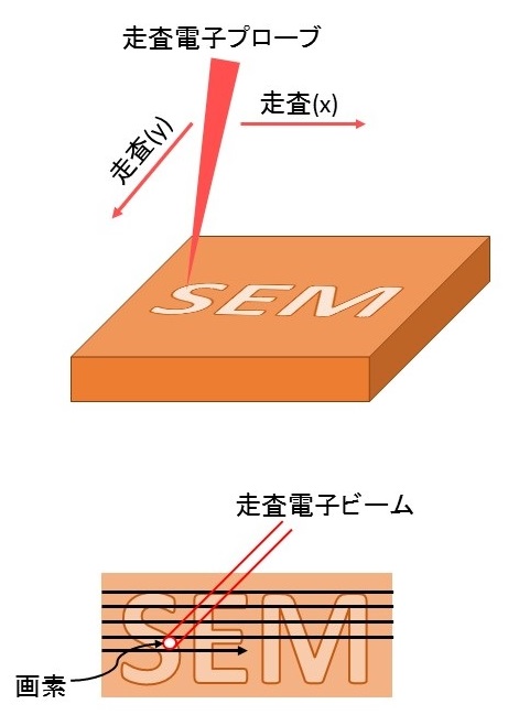 SEM断面図