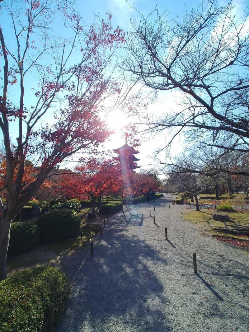 東寺で取った写真