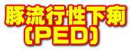 豚流行性下痢   (PED)