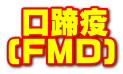  口蹄疫 (FMD)