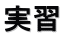 実習