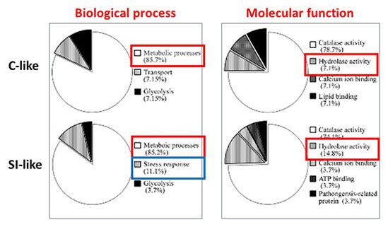 図　液体花粉培養において和合／不和合様現象で発現したタンパク質の分類