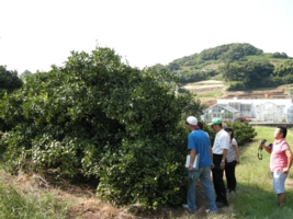 研究室旅行