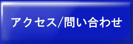 アクセス/問合せ