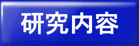 研究内容