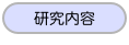 研究内容